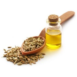 Fennel Oil