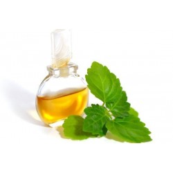 Patchouli Oil