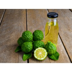 Bergamot Oil