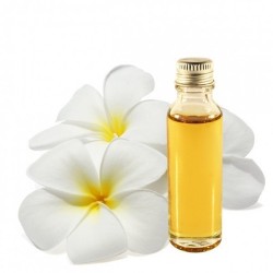 Frangipani Oil