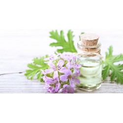 Geranium Oil