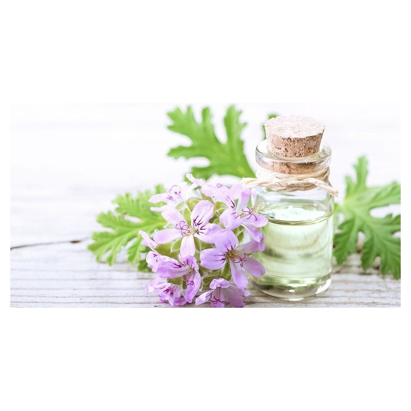 Geranium Oil