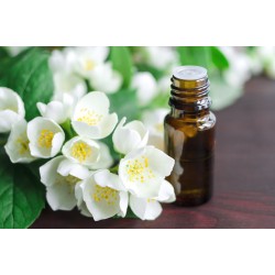 Jasmine Oil