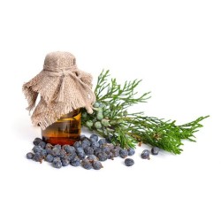 Juniper Berry Oil