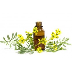 Litsea Oil