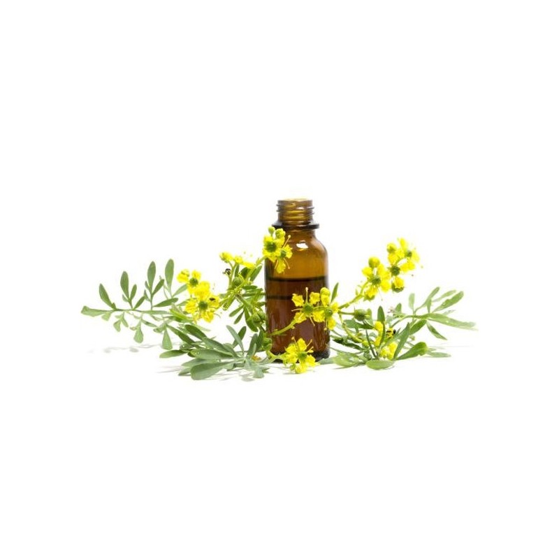 Litsea Oil