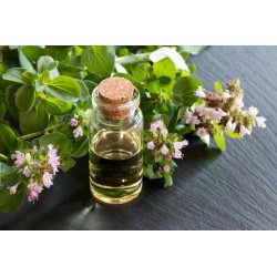 Oregano Oil