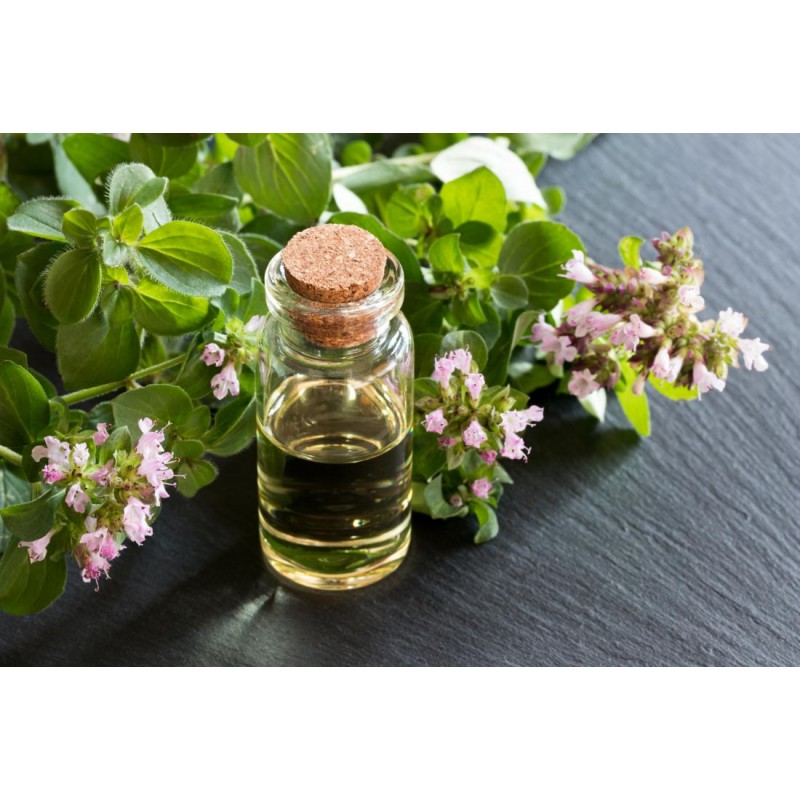 Oregano Oil