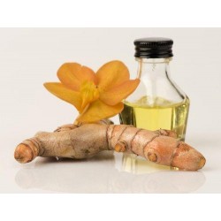 Galangal Oil