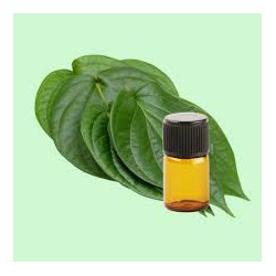 Betel Leaf Oil