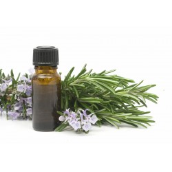 Rosemary Oil