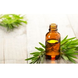 Tea Tree Oil