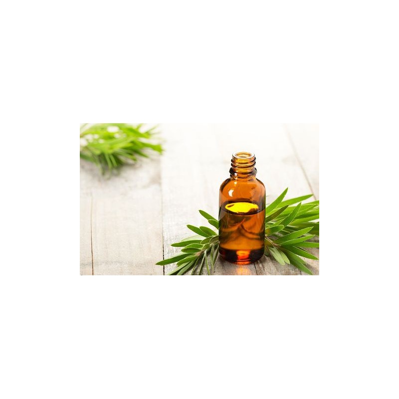 Tea Tree Oil