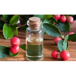 Wintergreen Oil