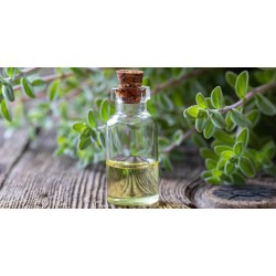 Marjoram Oil