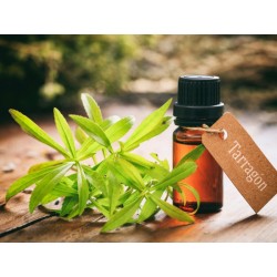 Tarragon Oil