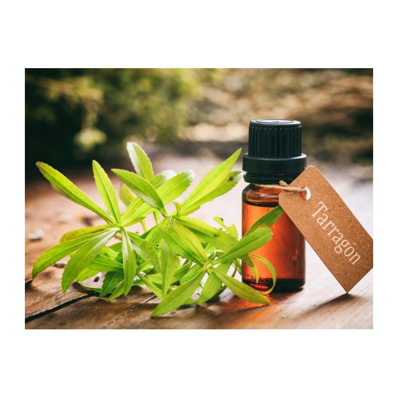 Tarragon Oil